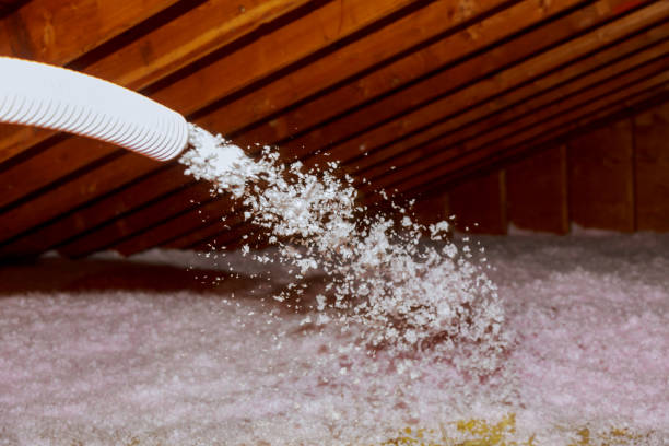 Best Insulation Repair Services  in Stanley, NC