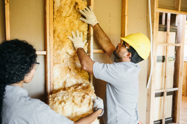Best Fiberglass Insulation  in Stanley, NC