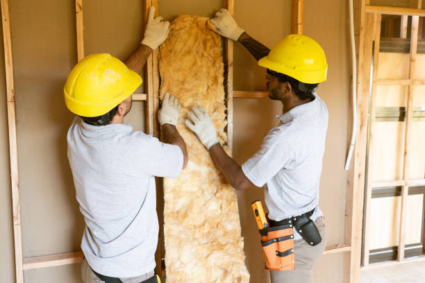 Best Insulation Replacement Services  in Stanley, NC